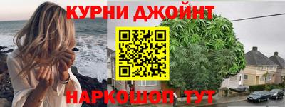 гидра Будённовск