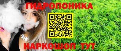 гидра Будённовск