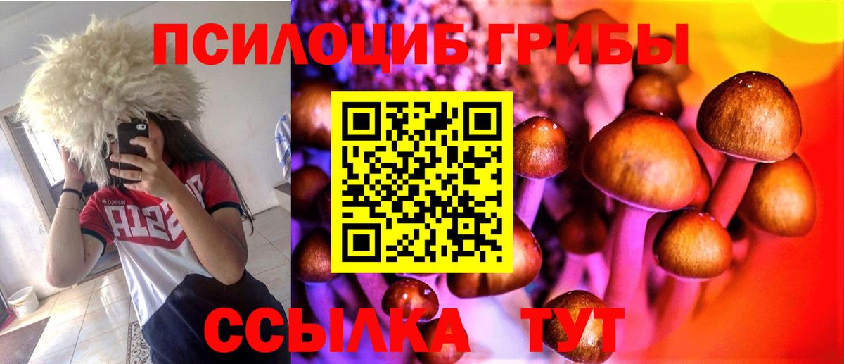 Орск  Галлюциногенные грибы прущие грибы  Вход с VPN 
